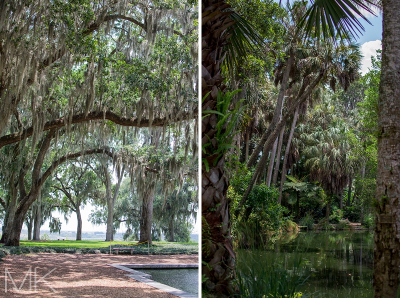 Florida_053