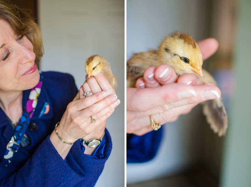 easter_chicks_007