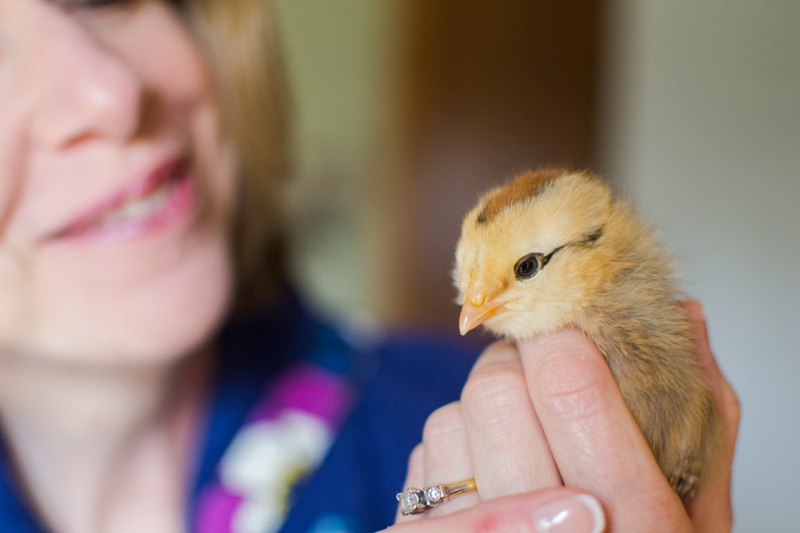 easter_chicks_010