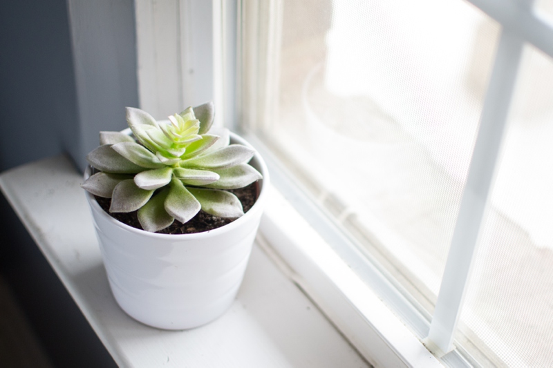 january_things_021