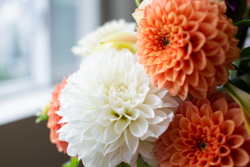 Flowers & Sweater_057